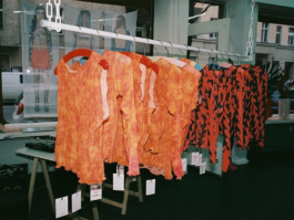  takis basil 3d design